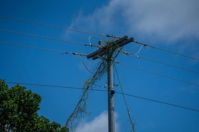 digital infrastructure growth strategy