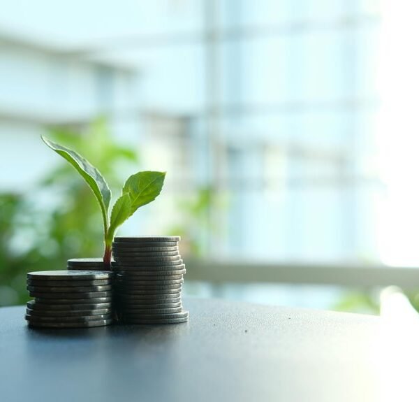 future digital growth solutions