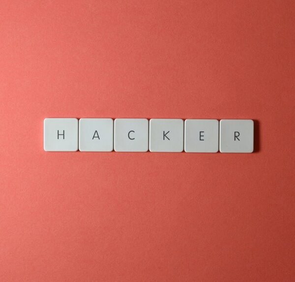 it network security professional