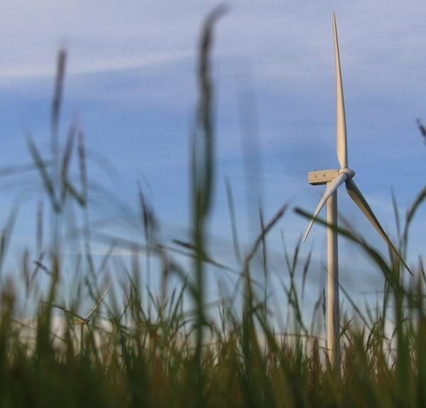 smart technology growth solutions