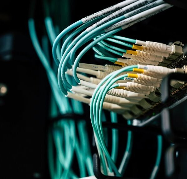 next level web network